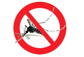 Avviso intervento di disinfestazione dalle zanzare su tutto il territorio comunale